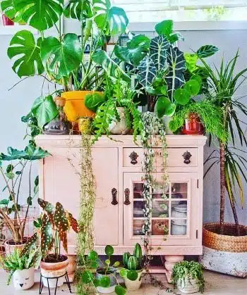 Canteiro de jardim: como fazer e alguns modelos lindos