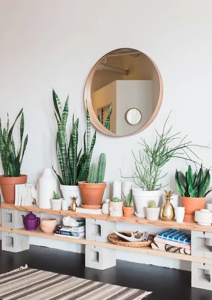 Tendências de decoração para 2020, sala com plantas