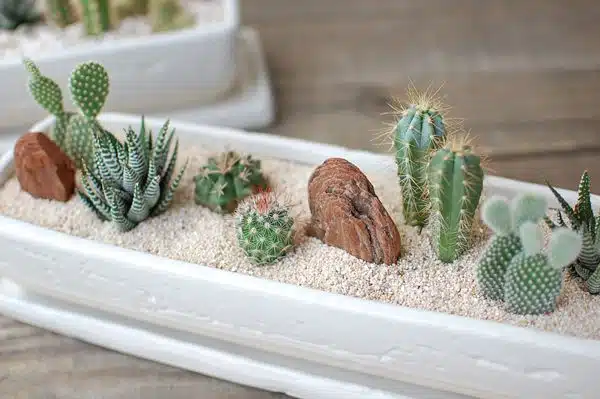 Vaso de plantas feito com travessa