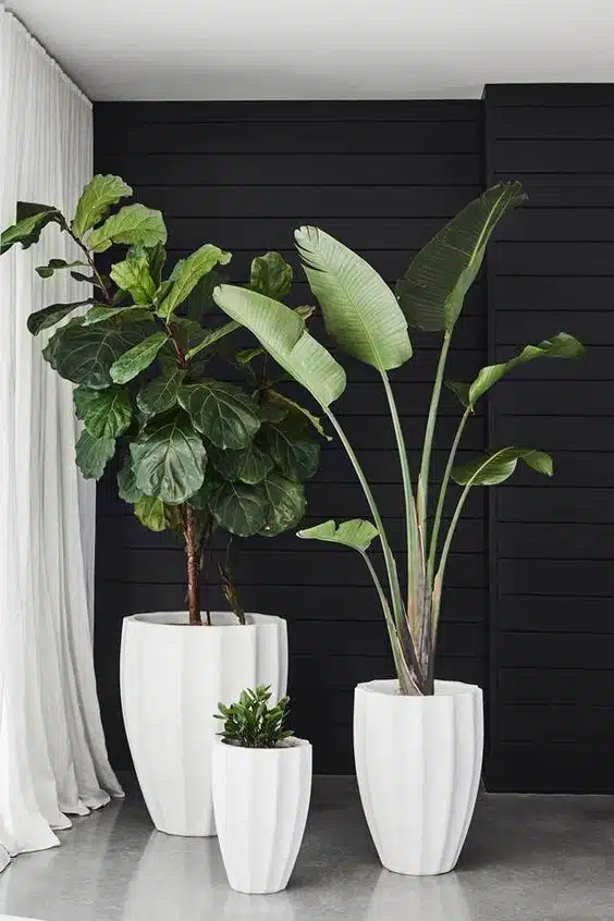 paredes de madeira em preto com vasos de plantas branco