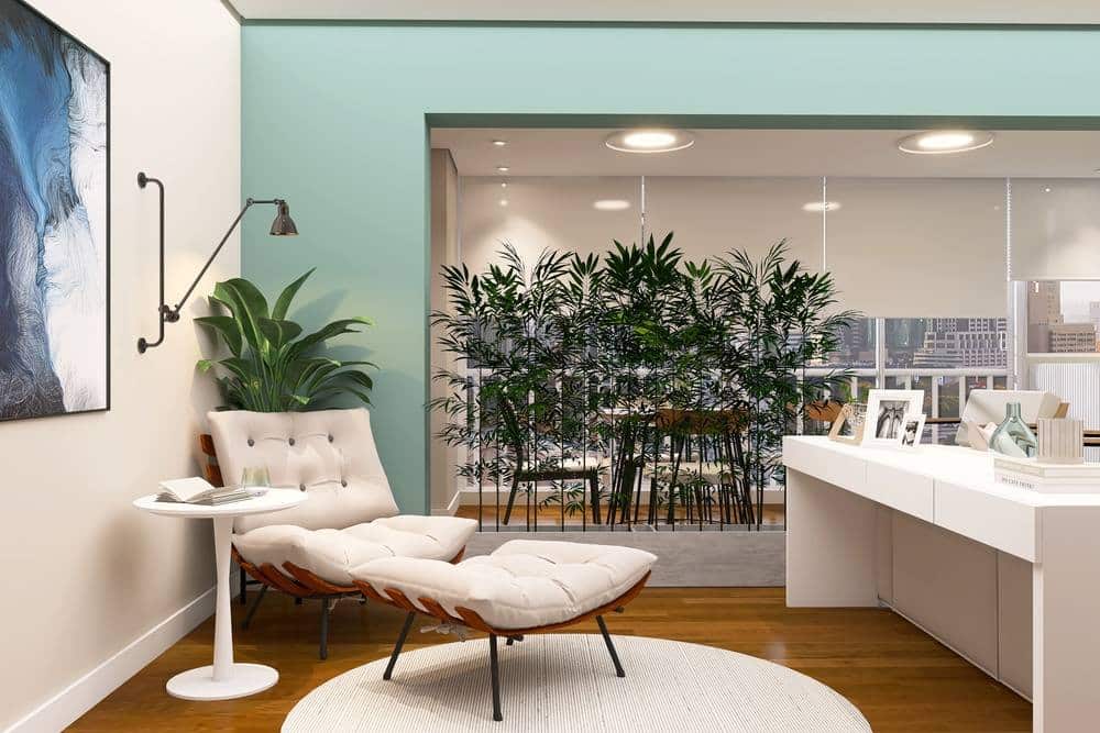 Como dividir ambientes de forma barata e criativa: plantas