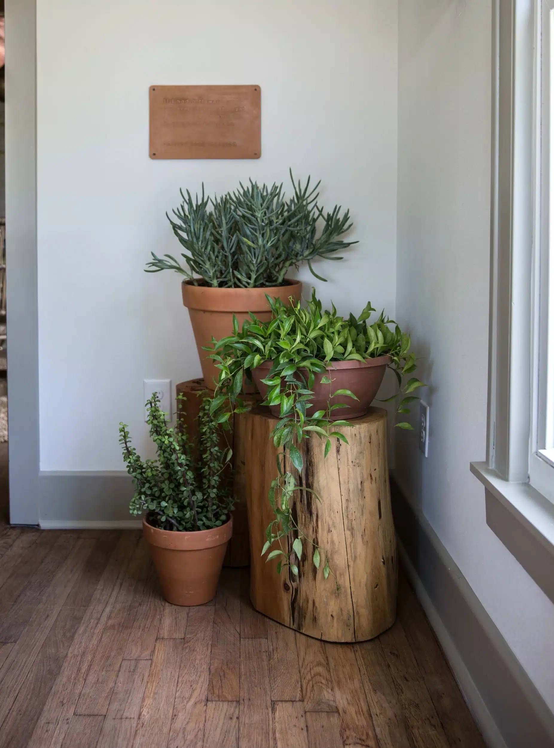 Como fazer um jardim de canto