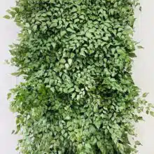jardim-vertical-avenca-preservada-1-00x0-50mt-desidratado-muroverde